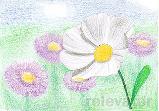 Kresby - Kvet, kreslená pohľadnica (4) - 8064330_