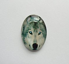 Komponenty - Kabošon - 18x25 mm - sklenený - vlk,  modré oči, divočina, husky - 8069626_