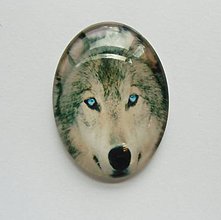 Komponenty - Kabošon - 30x40 mm - sklenený - vlk, husky, modré oči, pohľad - 8079150_
