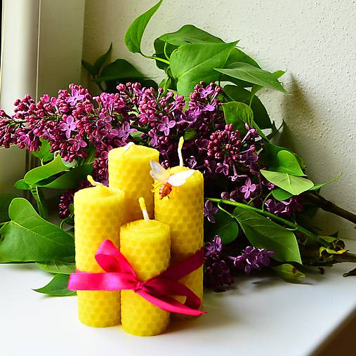 Sviečky - Sviečky s včielkou - 8102302_