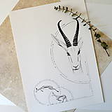 Kresby - Antilopa v kruhu - A3 - 8110998_