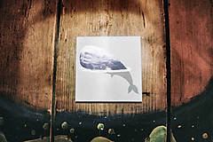 Papiernictvo - Leporelo 13x13 ,,Modrá veľryba,, - 8187417_