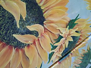 Obrazy - Sunflowers - 8209297_