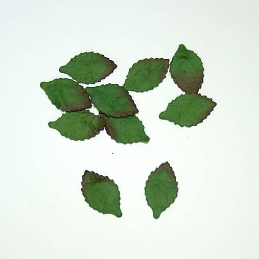 VÝPREDAJ! Zelené listy s hnedým okrajom bez drôtika (2,5cm)
