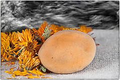Vlasová kozmetika - Šampónový kameň - Rakytníkový s pomarančovou šťavou a nechtíkom - 8403819_