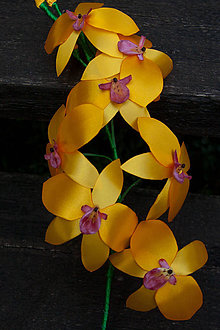Dekorácie - Žltá orchidea - 8421992_