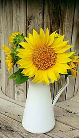 Fotografie - Sunflower - 8518512_