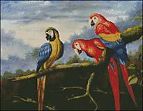 A006 Tri Papagáje
