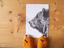 Kresby - Kresba : Medveď - Maco  A3 - 8555287_