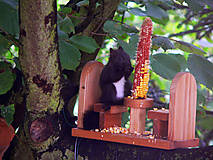 Krmítko pre veveričky Bar