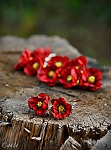 Náušnice - Červené maky najmenšie - kvetinové náušnice - 8599643_