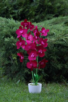 Dekorácie - Bordová orchidea - 8650620_