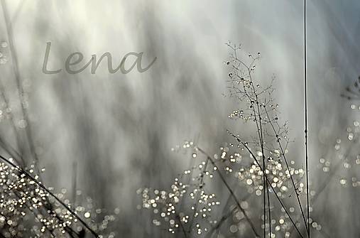 Fotografie - Ranní rosa podzimního dne - 8696200_