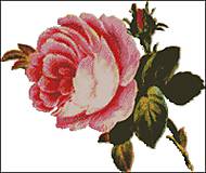 Návody a literatúra - F060 Vintage ruža - 8732571_