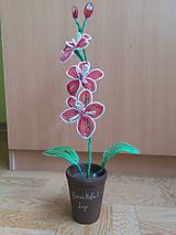Dekorácie - Červená orchidea - 8772838_