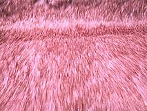 Textil - Kožušina umelá - ružová s jemným zlatohnedým melírom - cena za 10 cm - 8973264_
