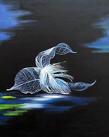 Obrazy - Feather and leaves in blue - 9059598_