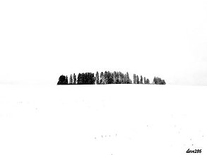 Fotografie - Medzi Nebom a Zemou - 9067460_