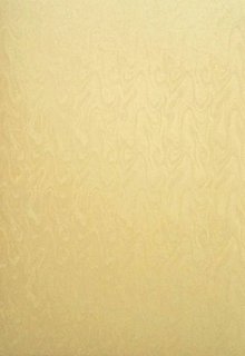 Papier - perleťový papier vanilkovo-zlatý s tlačeným vzorom, A4 - 9069758_