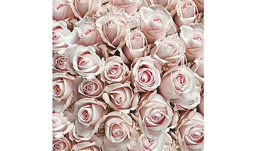  - Servítka "Pastel roses", ihneď - 9082256_