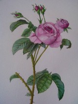 Obrazy - Print Maľby Ruže - 9103516_