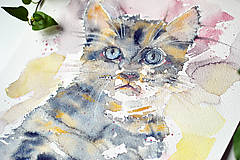  - Zvierací portrét 2 - mačiatko, akvarel - 9113360_