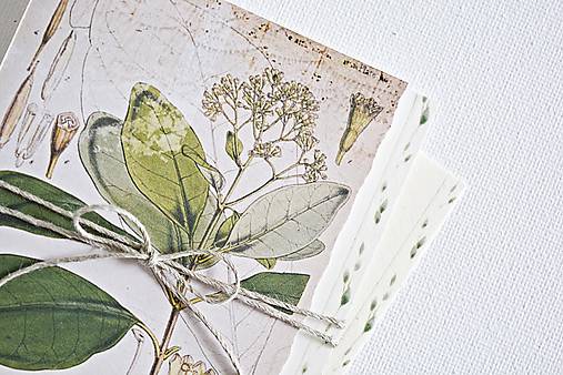 Papiernictvo - Botanický pozdrav/kartička I - 9123139_