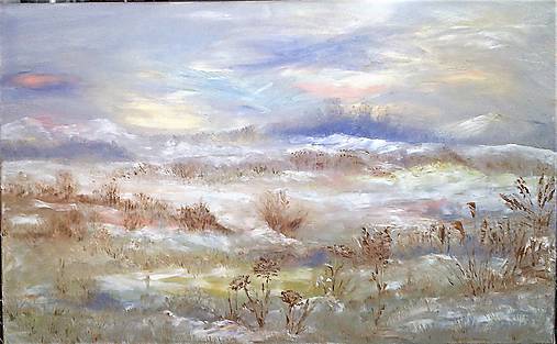 Obrazy - snežná planina - 9132749_