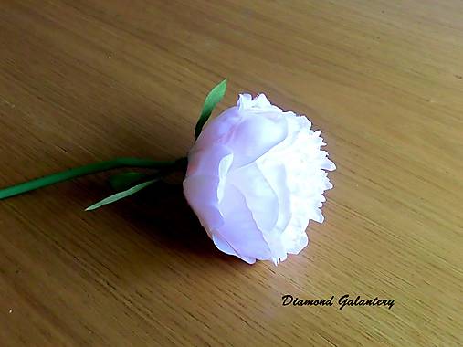 Ozdobná pivonka - ružovo biela