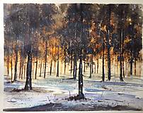 Obrazy - Zapad slnka v lese - 9198519_