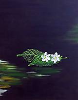 Obrazy - Green leaves II - 9225011_