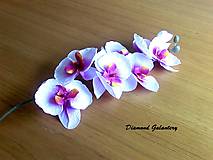 Suroviny - Ozdobná orchidea - biela - 9236333_