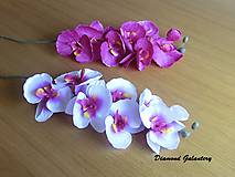 Suroviny - Ozdobná orchidea - biela - 9236334_