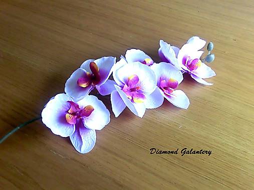 Ozdobná orchidea - biela