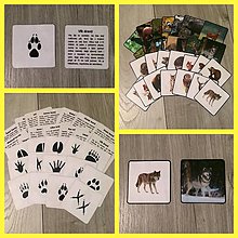 Hračky - Lesné, domáce a exotické zvieratá + stopy - 9238849_