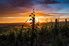 Fotografie - Západ slnka nad Tokajskými vinicami - 9262834_