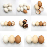 Dekorácie - Veľkonočné vajíčko (darček k objednávke) - 9287189_
