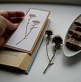 Papiernictvo - Bodliačiky... - 9387151_