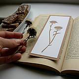 Papiernictvo - Bodliačiky... - 9387153_