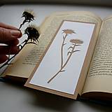 Papiernictvo - Bodliačiky... - 9387156_