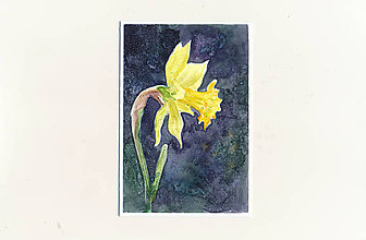 Papiernictvo - Ručne maľovaná pohľadnica - Narcis na tmavom pozadí - 9427712_
