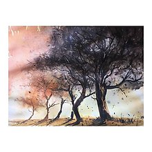Obrazy - Stromy a zapad slnka - 9484873_