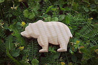 Brošne - Drevená brošňa medveď - 9527004_