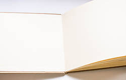 Papiernictvo - Book " Paeonia" - 9528055_