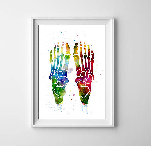  - Anatómia ľudskej nohy (A3 - 297 mm x 420 mm) - 9534794_