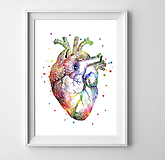 Grafika - Anatómia ľudského srdca - 9552955_