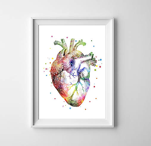  - Anatómia ľudského srdca (A4 - 210 mm x 297 mm) - 9552955_