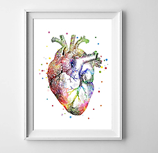 Grafika - Anatómia ľudského srdca - 9552955_