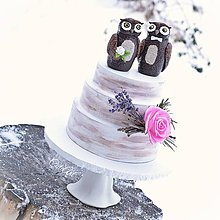 Dekorácie - Svadobné sovy  - figúrky na svadobnú tortu - 9568119_
