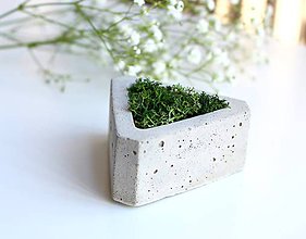 Dekorácie - Betónový mini kvetináč s islandským machom - 9585021_